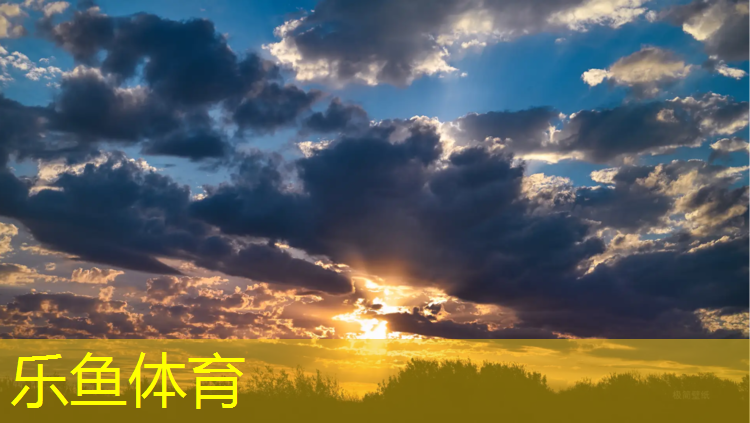网球网友人